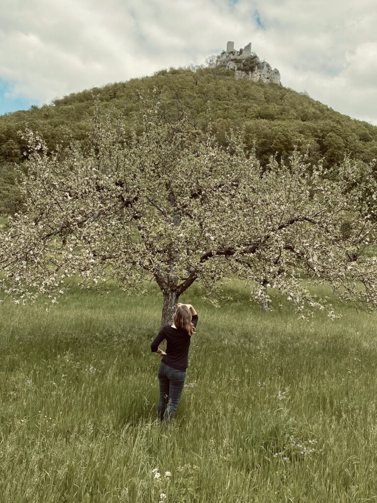 Blick vom Albrand auf die Burg Teck.